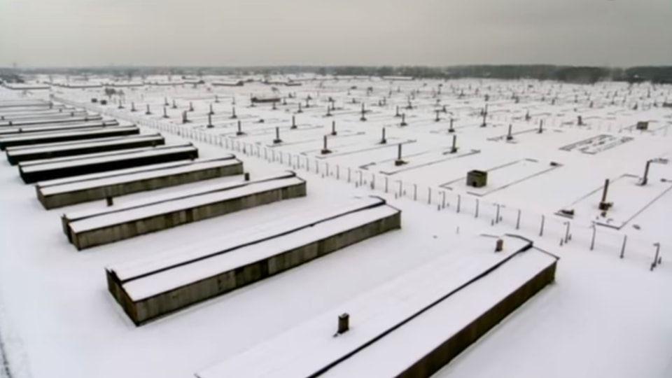 AUSCHWITZ: THE NAZIS AND THE 'FINAL SOLUTION' (2005)